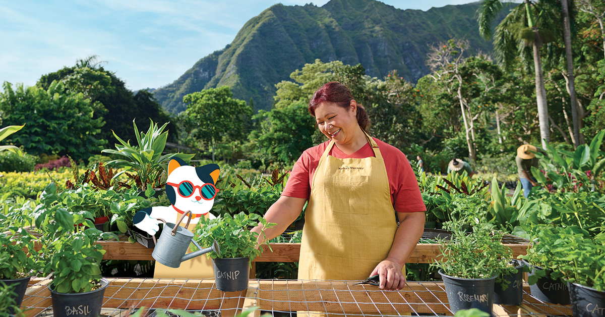 A person stands in a lush garden surrounded by potted herbs and plants, tending to a seedling at a nursery with green mountains in the background. A cartoon shaka cat wearing sunglasses waters plants nearby, adding a playful element to the scenic outdoor setting.
